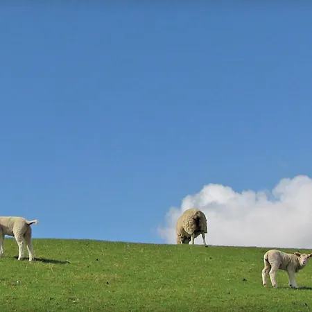 Tatil Evi Lovely In With Sauna *